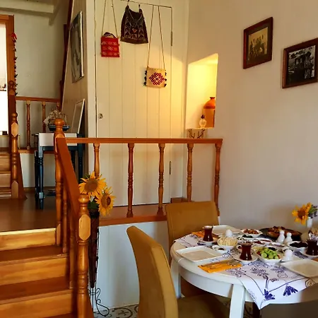 Pensión Alaybey Ada Evi *
