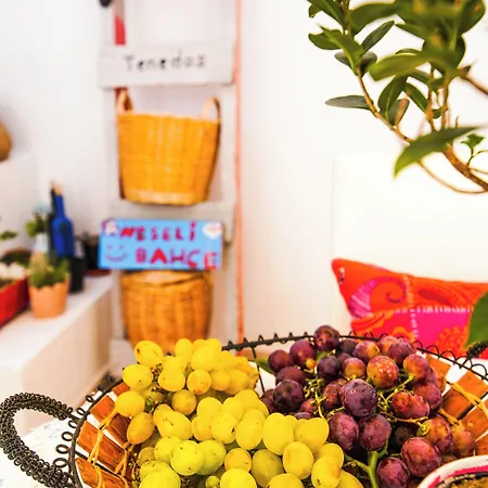 Alaybey Ada Evi Pensión