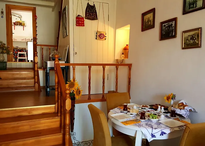 بيت ضيافة Alaybey Ada Evi *