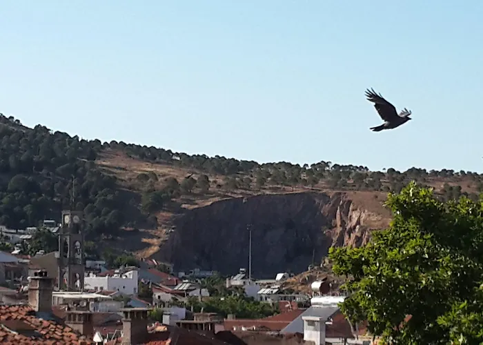 Alaybey Ada Evi بيت ضيافة بوزجادا