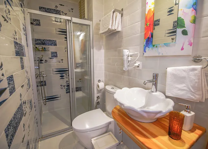 Alaybey Ada Evi بيت ضيافة